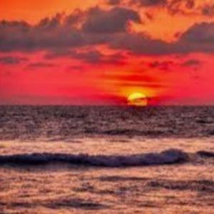 Meet your Posher, Lily